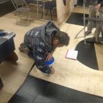 Men's Shed in Operation
